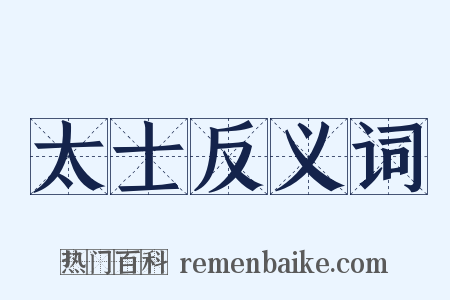 太士反义词是什么意思的图片